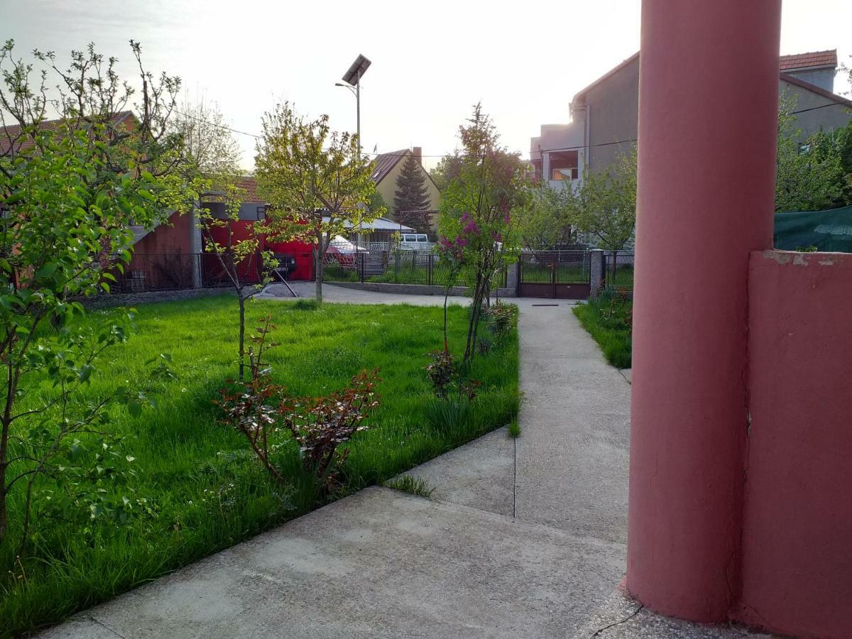 דירות סטינג'ה Apartman Donji Kraj מראה חיצוני תמונה